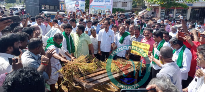 InShot_20211106_171820539