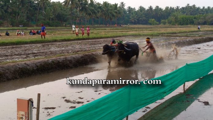 IMG-20221121-WA0038_wm