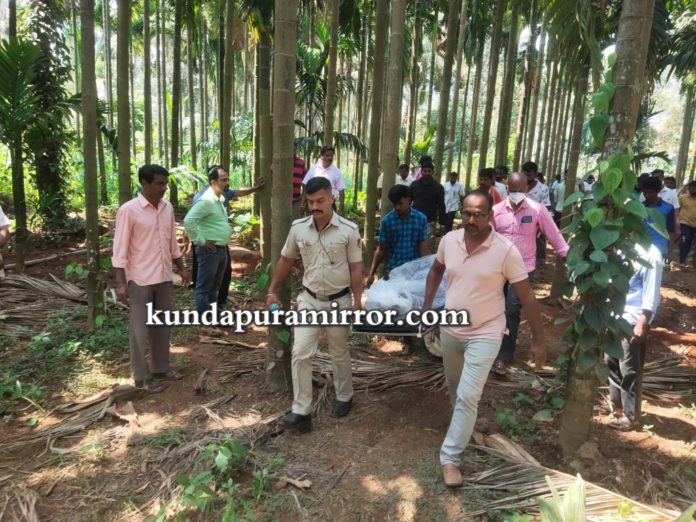 IMG-20230302-WA0002_wm