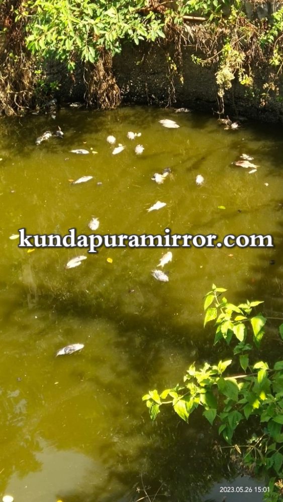 IMG-20230527-WA0037_wm