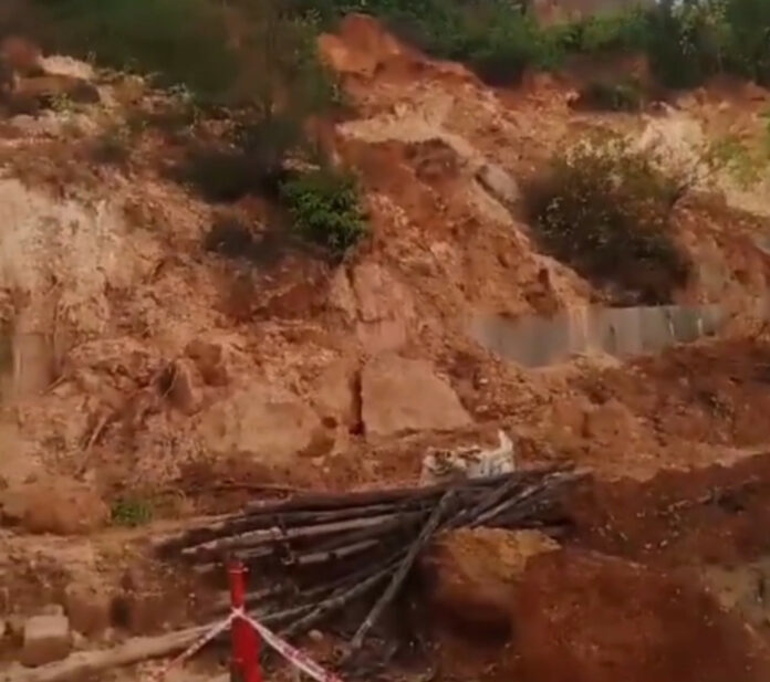 InShot_20240717_214954381