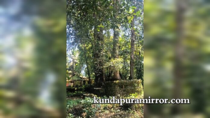 InShot_20251008_220626960_wm